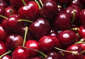 new-zealand-cherry.jpg